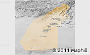 Satellite Panoramic Map of Helmand, desaturated