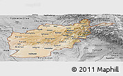 Satellite Panoramic Map of Afghanistan, desaturated