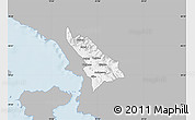 Gray Map of Delvinë, single color outside