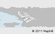 Gray Panoramic Map of Delvinë, single color outside