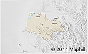 Shaded Relief 3D Map of Fier, lighten, desaturated