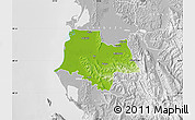 Physical Map of Fier, lighten, desaturated