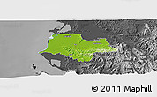 Physical Panoramic Map of Fier, darken, desaturated