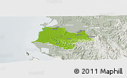 Physical Panoramic Map of Fier, lighten, semi-desaturated