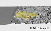 Satellite Panoramic Map of Fier, desaturated