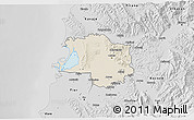 Shaded Relief 3D Map of Lushnjë, desaturated