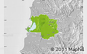 Physical Map of Lushnjë, lighten, desaturated