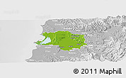 Physical Panoramic Map of Lushnjë, lighten, desaturated