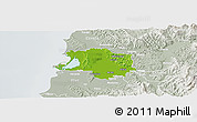 Physical Panoramic Map of Lushnjë, lighten, semi-desaturated