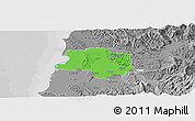 Political Panoramic Map of Lushnjë, desaturated