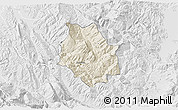 Shaded Relief 3D Map of Skrapar, lighten, desaturated