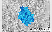 Political Map of Skrapar, lighten, desaturated