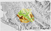 Physical 3D Map of Tepelenë, lighten, desaturated