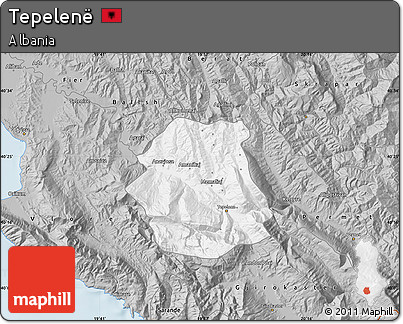 Gray Map of Tepelenë