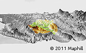Physical Panoramic Map of Tepelenë, desaturated