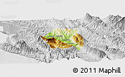 Physical Panoramic Map of Tepelenë, lighten, desaturated