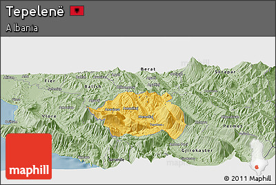 Savanna Style Panoramic Map of Tepelenë