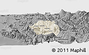 Shaded Relief Panoramic Map of Tepelenë, darken, desaturated