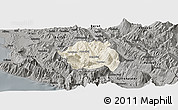 Shaded Relief Panoramic Map of Tepelenë, darken, semi-desaturated