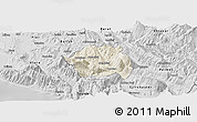 Shaded Relief Panoramic Map of Tepelenë, desaturated