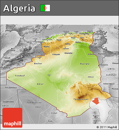 Physical 3D Map of Algeria, desaturated