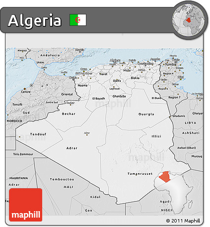 Silver Style 3D Map of Algeria