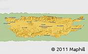 Savanna Style Panoramic Map of Ain Dafla, single color outside