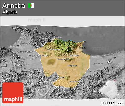 Satellite 3D Map of Annaba, desaturated