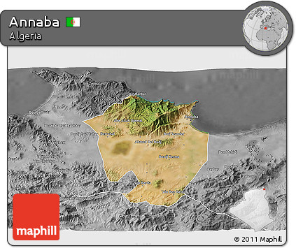 Satellite 3D Map of Annaba, desaturated