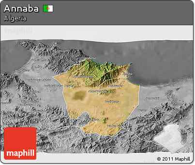 Satellite 3D Map of Annaba, desaturated