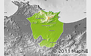 Physical Map of Annaba, desaturated