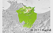 Physical Map of Annaba, lighten, desaturated