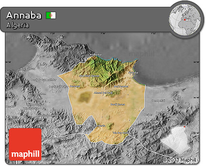 Satellite Map of Annaba, desaturated