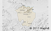 Shaded Relief Map of Annaba, lighten, desaturated