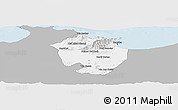 Gray Panoramic Map of Annaba, single color outside