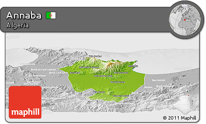 Physical Panoramic Map of Annaba, lighten, desaturated