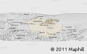 Shaded Relief Panoramic Map of Annaba, desaturated