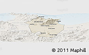 Shaded Relief Panoramic Map of Annaba, lighten