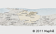 Shaded Relief Panoramic Map of Annaba, semi-desaturated