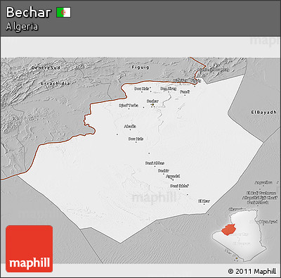 Gray 3D Map of Bechar