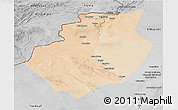 Satellite 3D Map of Bechar, desaturated