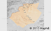 Satellite Map of Bechar, desaturated