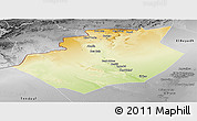 Physical Panoramic Map of Bechar, desaturated