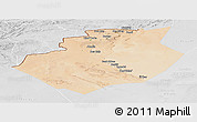 Satellite Panoramic Map of Bechar, lighten, desaturated