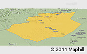 Savanna Style Panoramic Map of Bechar