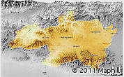 Physical 3D Map of Borjbouarirej, desaturated