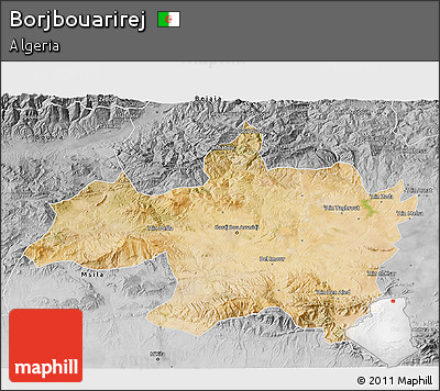 Satellite 3D Map of Borjbouarirej, desaturated