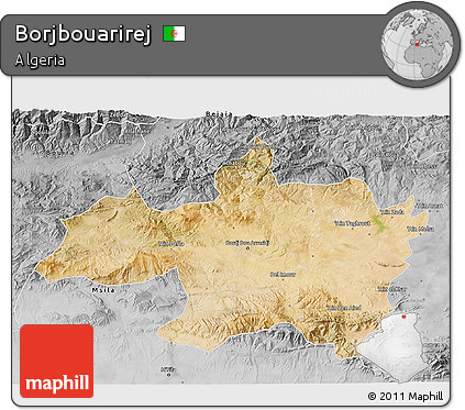 Satellite 3D Map of Borjbouarirej, desaturated