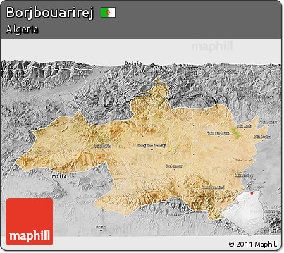 Satellite 3D Map of Borjbouarirej, desaturated