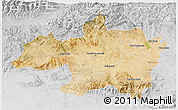 Satellite 3D Map of Borjbouarirej, lighten, desaturated
